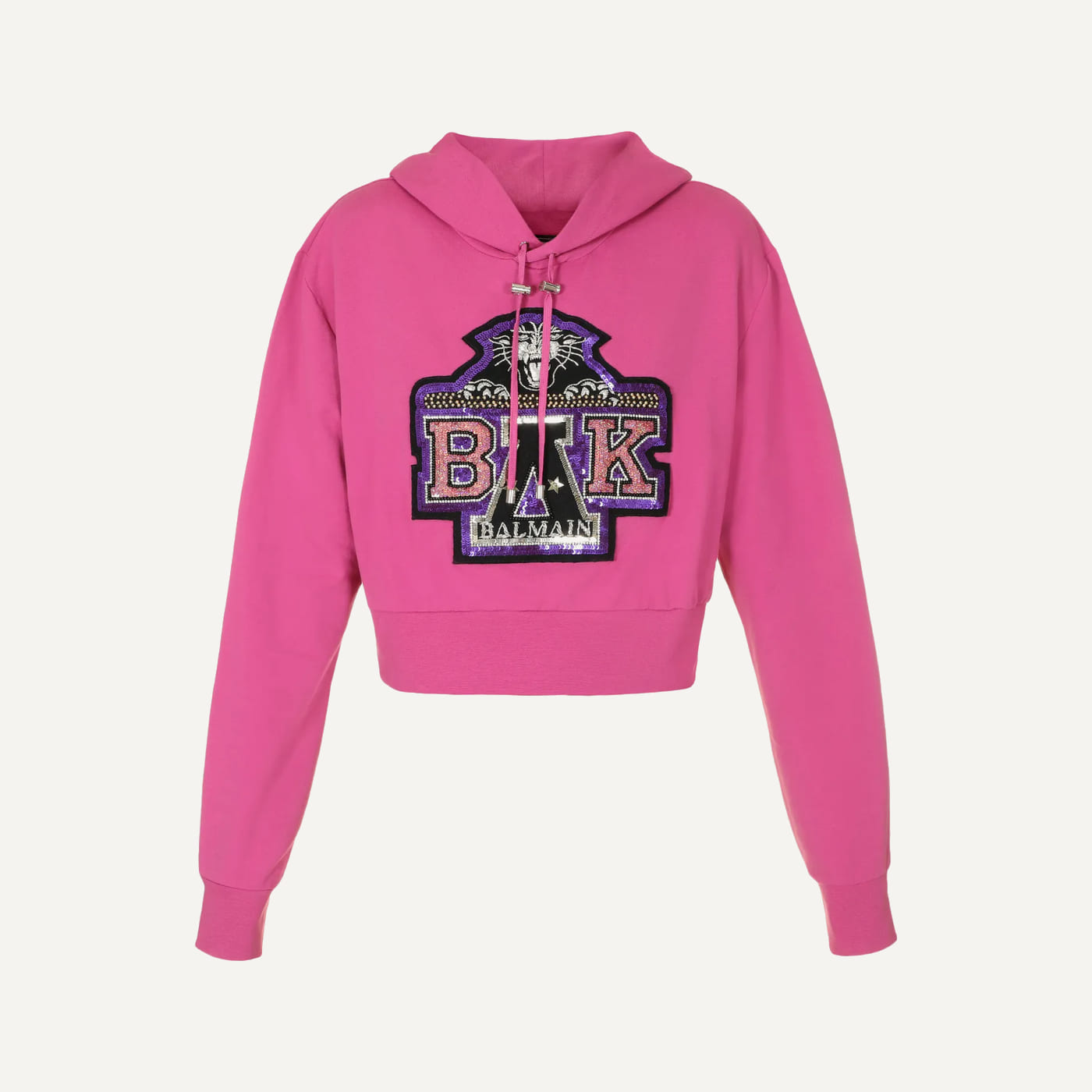 Beychella Crop Hoodie