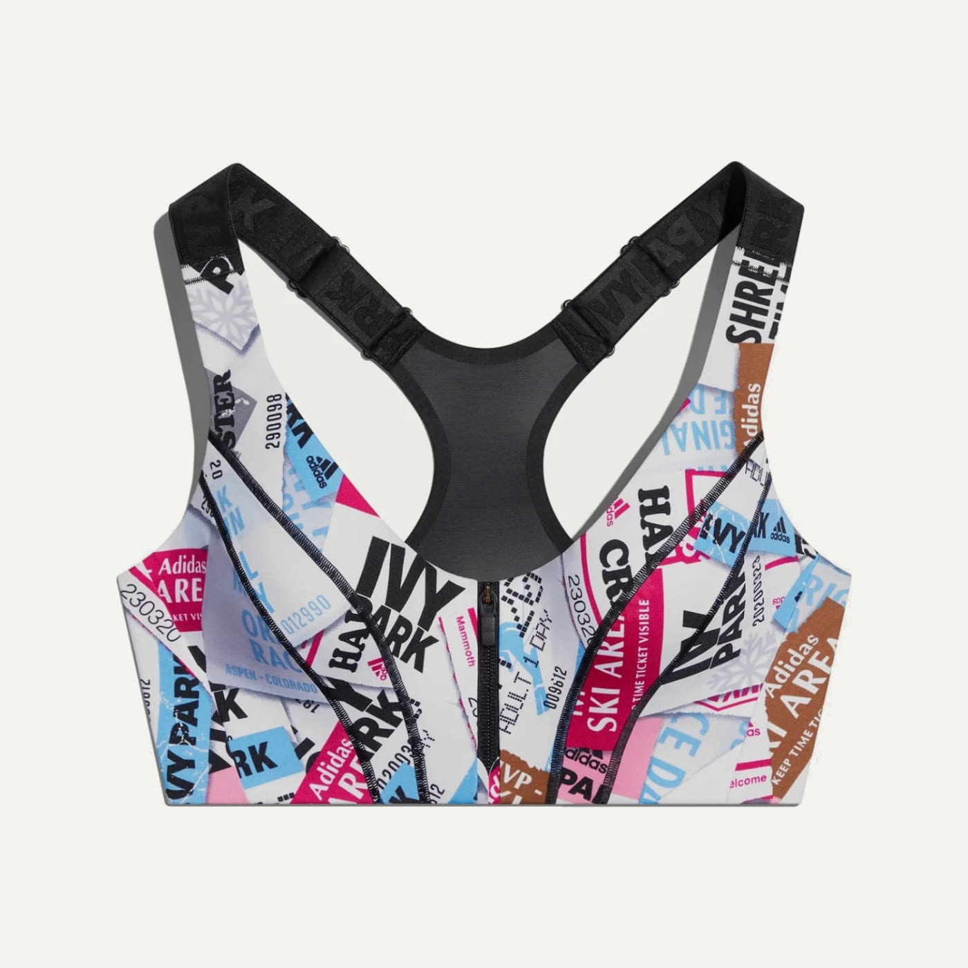 Icy Park Ski Tag Zip Sports Bra