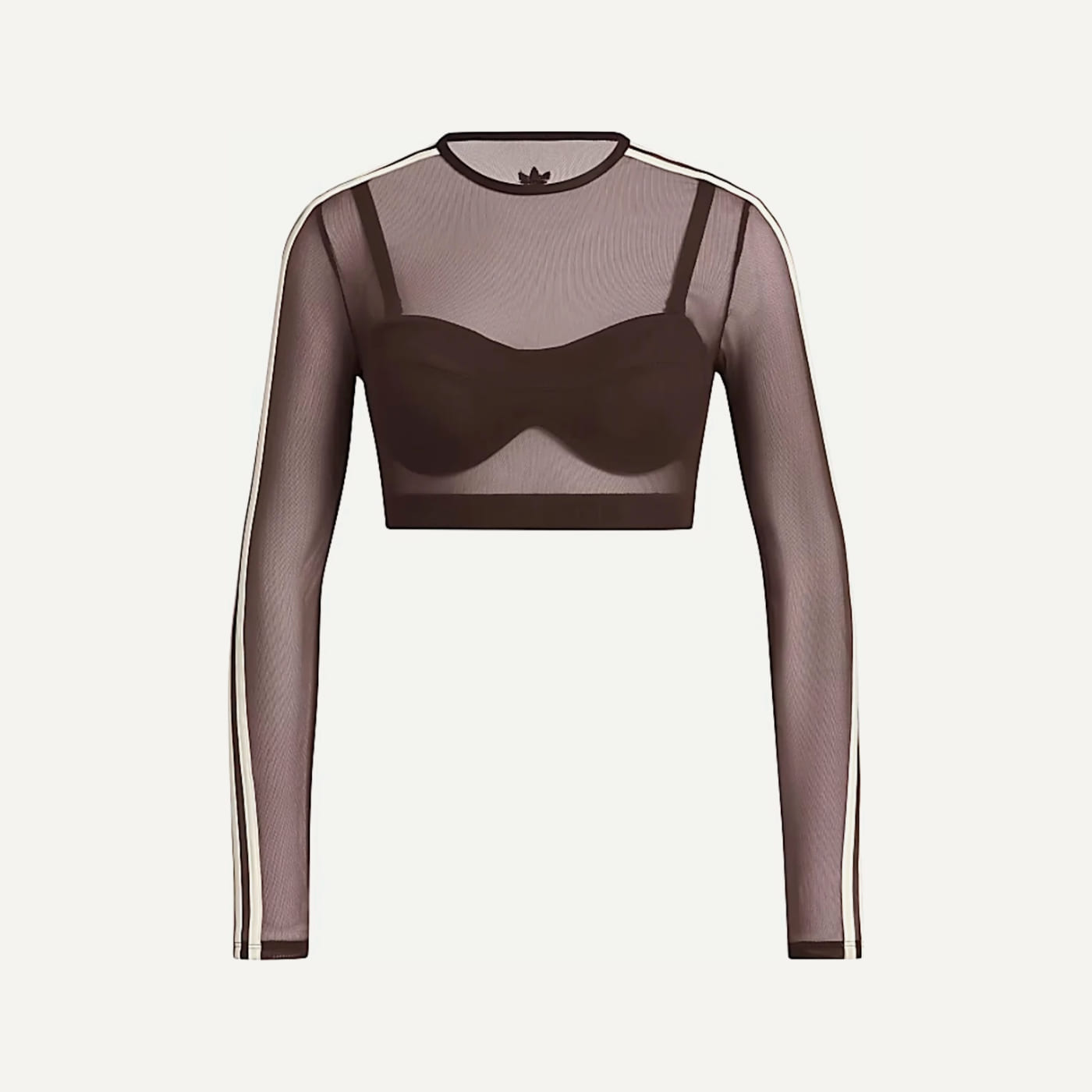 Ivy Paradise Mesh Crop Swim Top