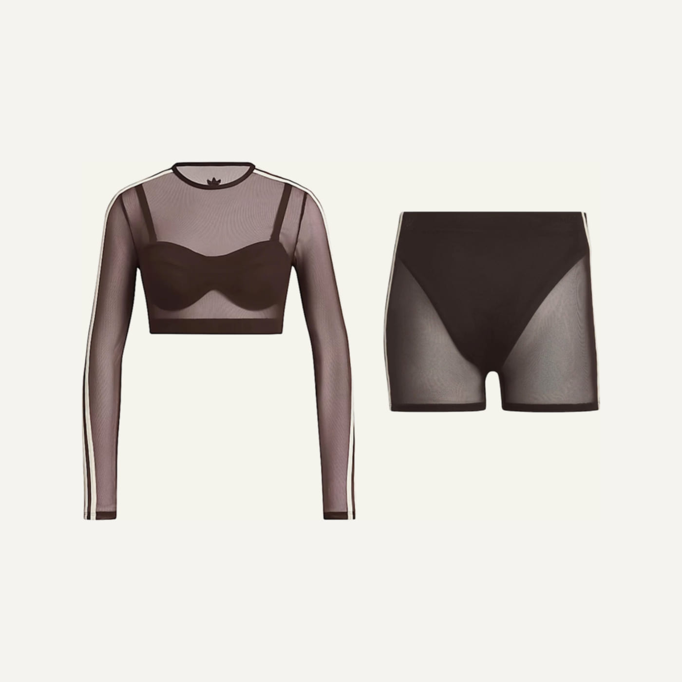 Ivy Paradise Mesh Swim Set