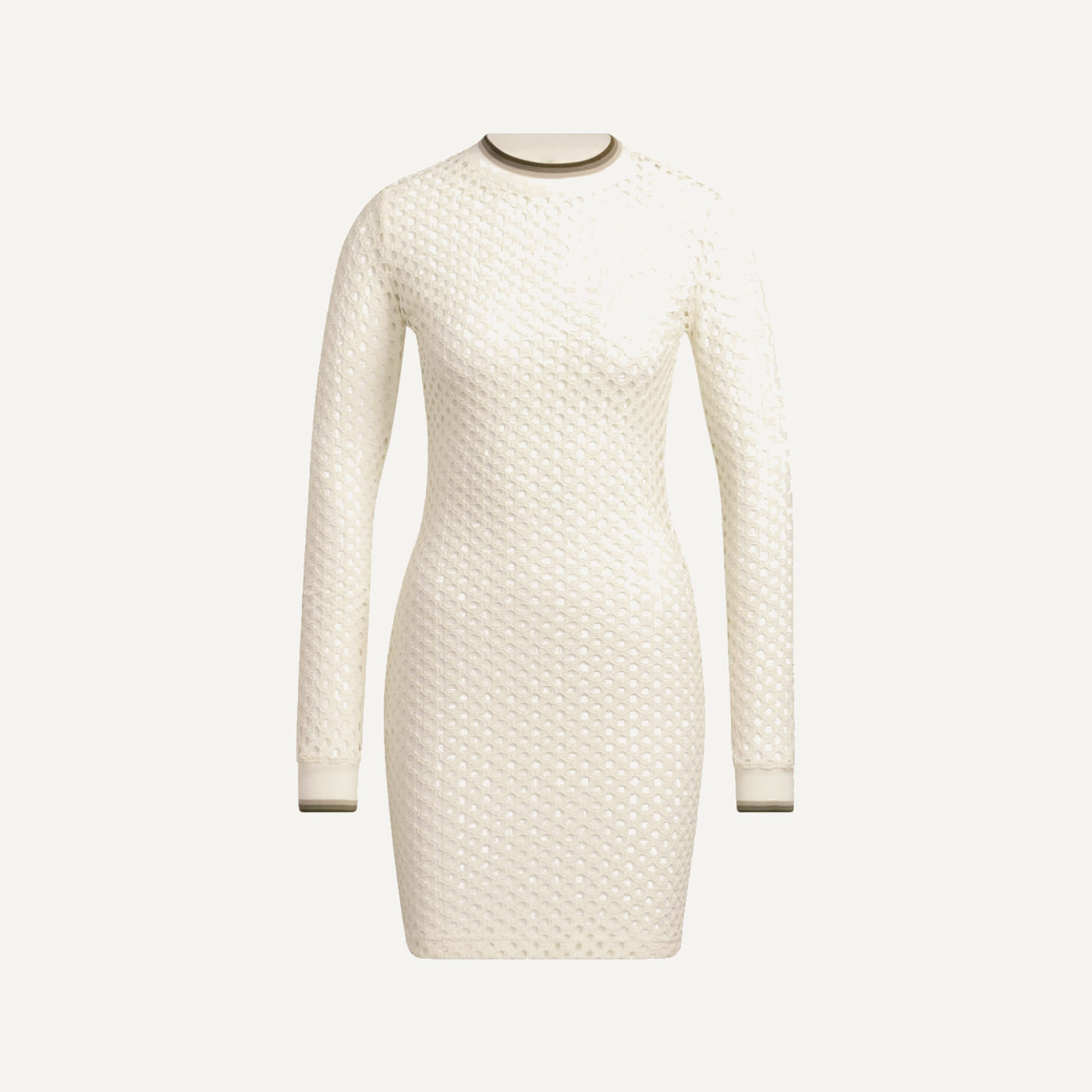 Ivytopia Mesh Long Sleeve Mini Dress